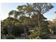104/1C Kooringa Road, Chatswood NSW 2067
