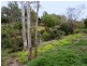 6 Waterview Place, Mareeba QLD 4880