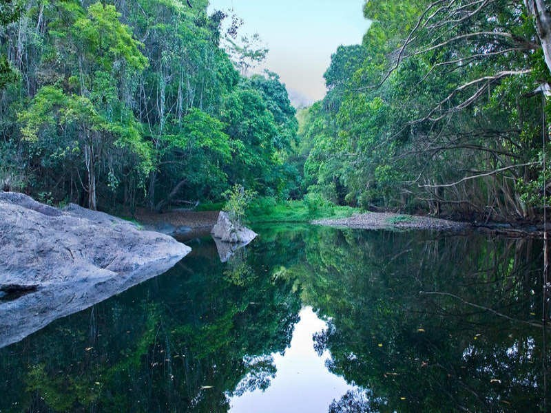 12 Stringer Close, Redlynch QLD 4870