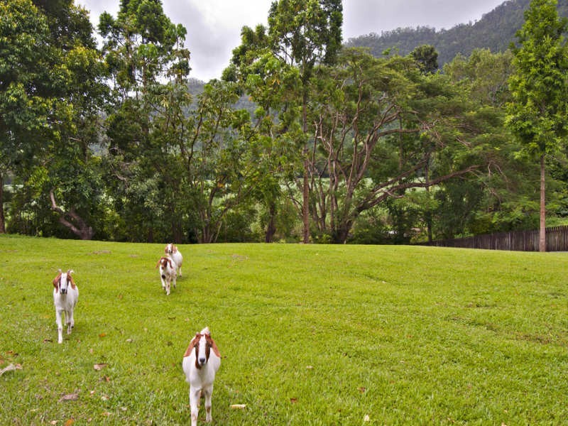 Lot 21 Intake Road, Redlynch QLD 4870