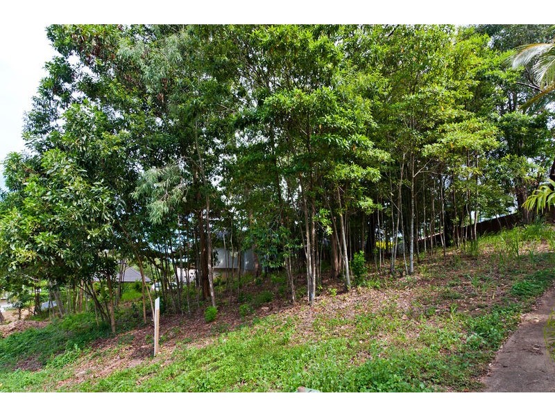 45  Daphne Drive, Redlynch QLD 4870