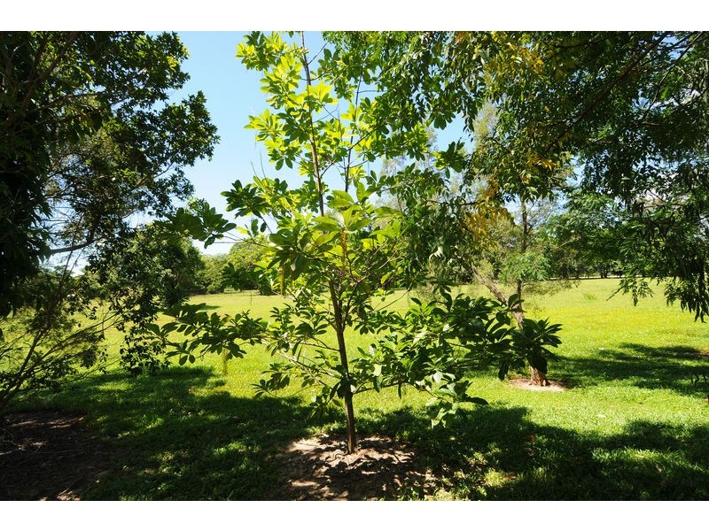 10 Norilla Close, Caravonica QLD 4878