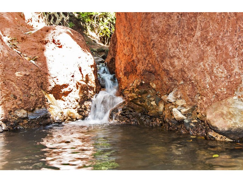 25 Flindersia Street, Redlynch QLD 4870