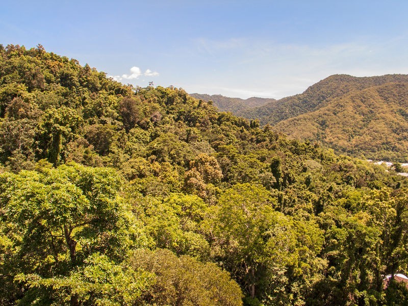 Lot 987, 72 Fairley Street, Redlynch QLD 4870