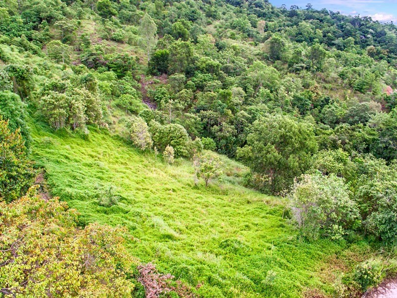 Lot 43 Mount William Close, Redlynch QLD 4870