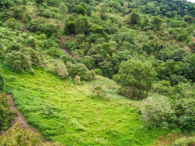 Lot 43 Mount William Close, Redlynch QLD 4870