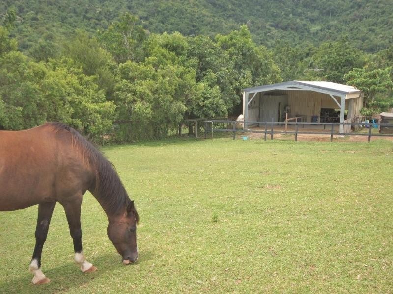 Redlynch QLD 4870