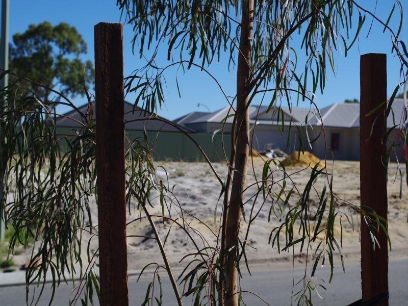 9 Zenith Turn, Baldivis WA 6171