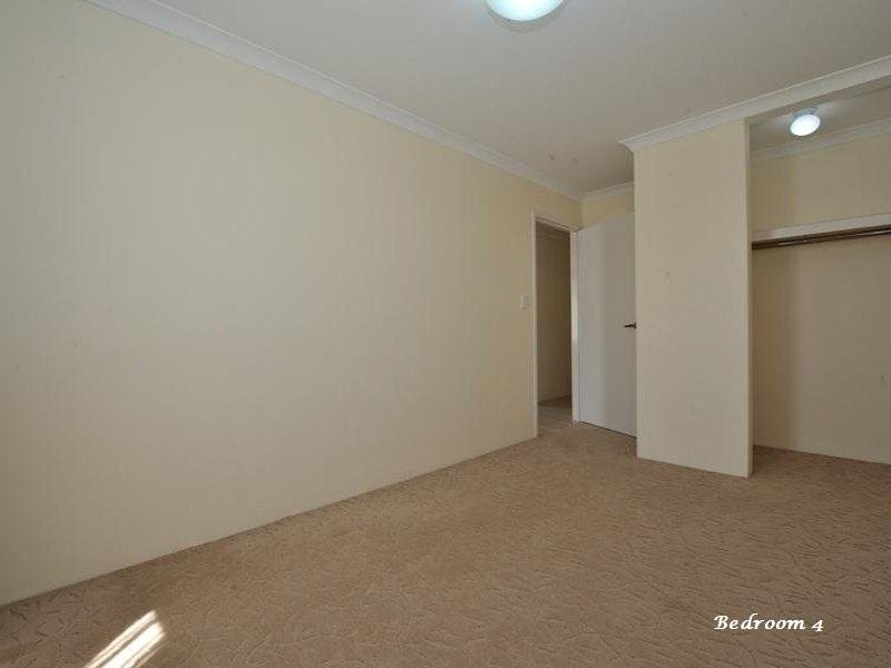 14 Setaria Road, Baldivis WA 6171