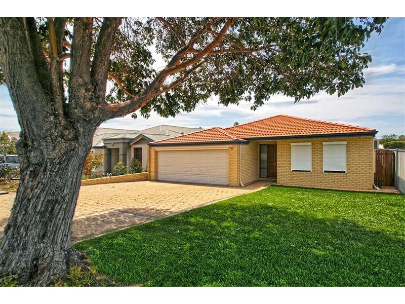 23 Harfoot Street, Willagee WA 6156