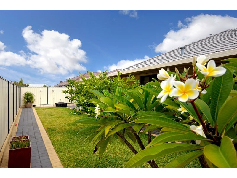 33 Macquarie Boulevard, Hammond Park WA 6164