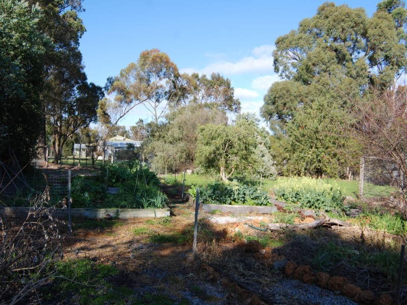 41 Beech Road, Albany WA 6330