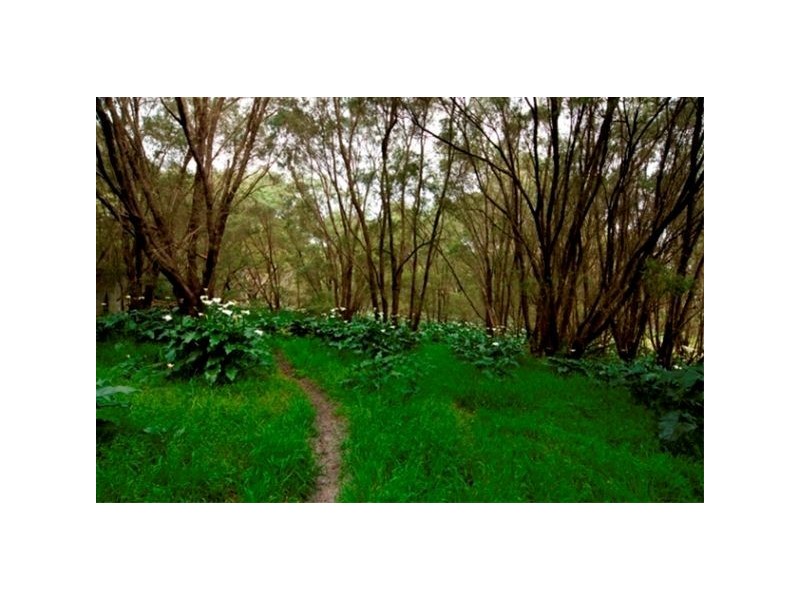 426 Old Elleker Road, Cuthbert WA 6330