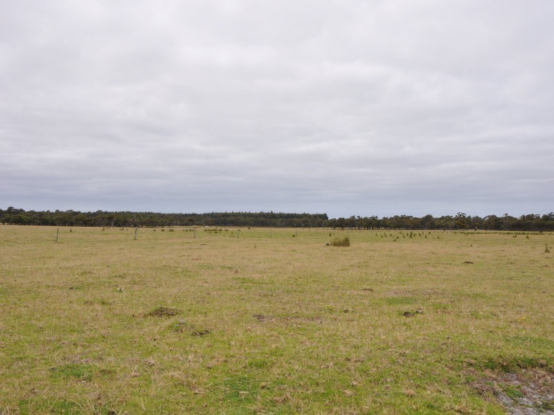 385-386 Cnr Elliott Road & Settlement Road, Narrikup WA 6326