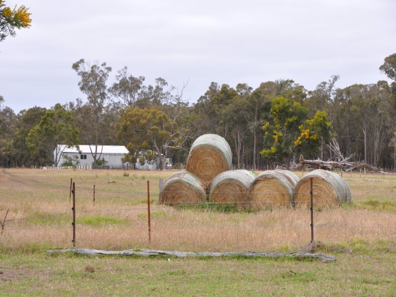385-386 Cnr Elliott Road & Settlement Road, Narrikup WA 6326