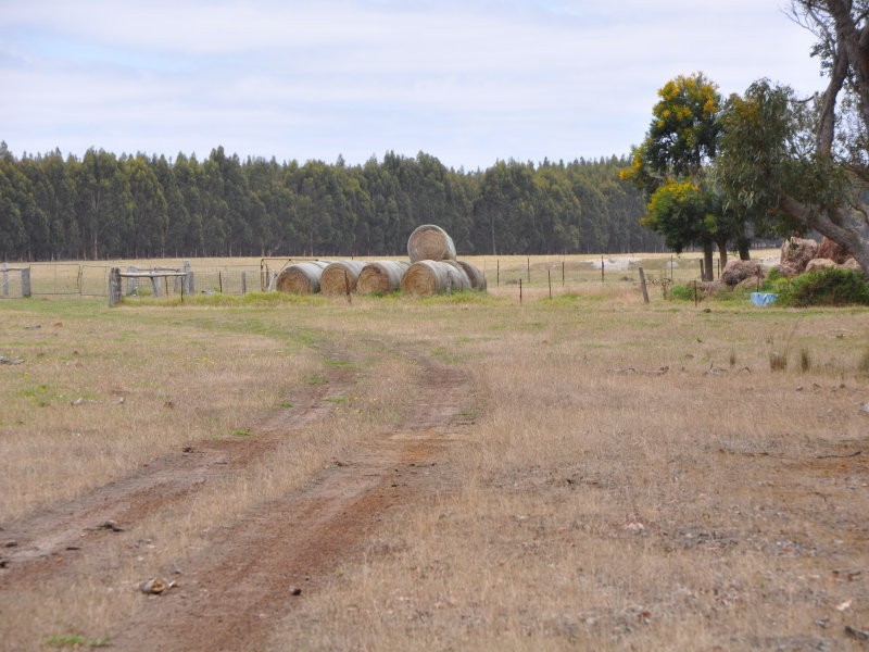 385-386 Cnr Elliott Road & Settlement Road, Narrikup WA 6326