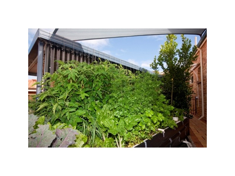 60 Boronia Avenue, Collingwood Heights WA 6330