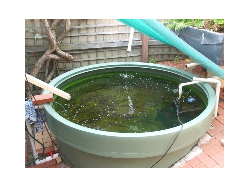 60 Boronia Avenue, Collingwood Heights WA 6330