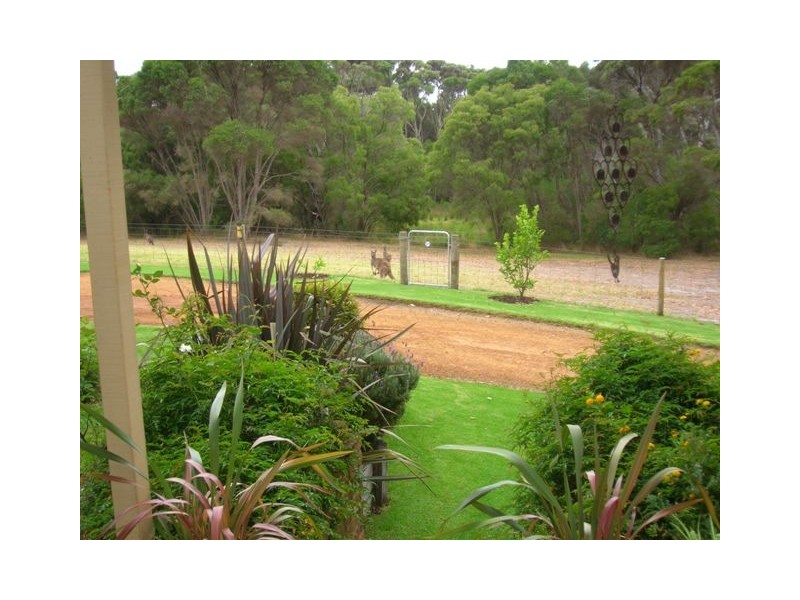 426 Old Elleker Road, Cuthbert WA 6330