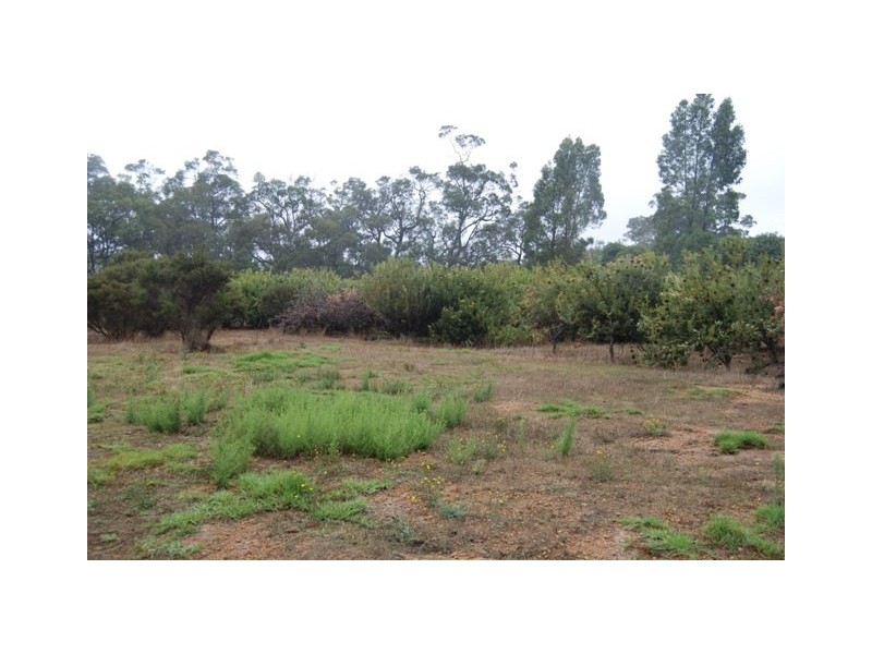 Lot 703 Bloomfield Rise, Mount Barker WA 6324
