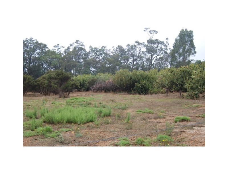 Lot 703 Bloomfield Rise, Mount Barker WA 6324