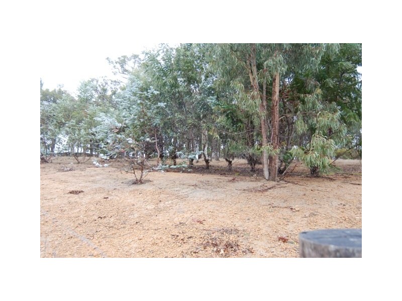 Lot 706 Bloomfield Rise, Mount Barker WA 6324