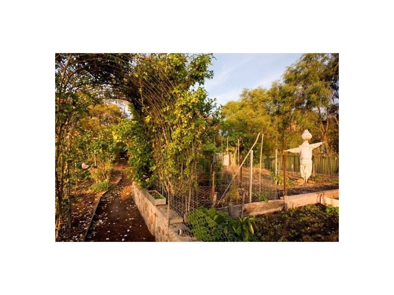 100 Alison Parade, Bayonet Head WA 6330