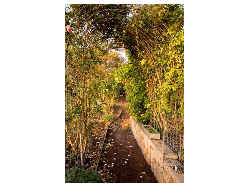 100 Alison Parade, Bayonet Head WA 6330