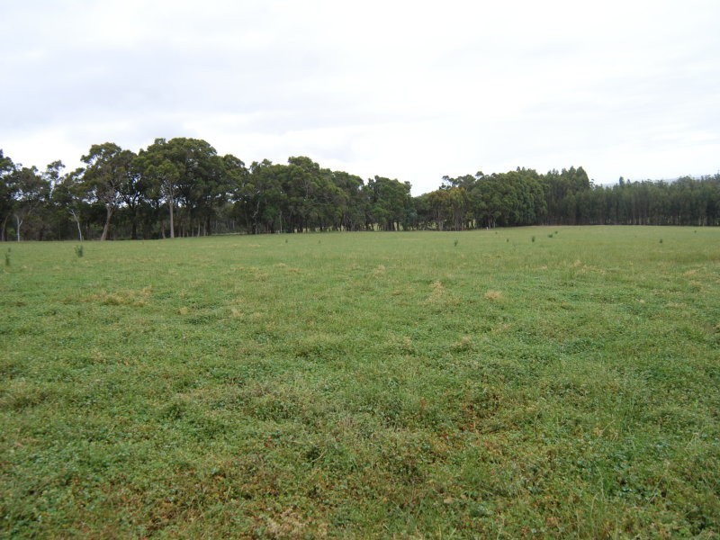 Lot 37 Millinup Road, Porongurup WA 6324