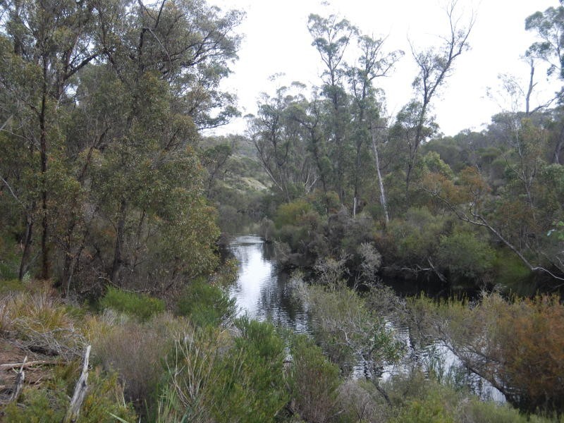 Lot 300 Palmdale Road, Napier WA 6330