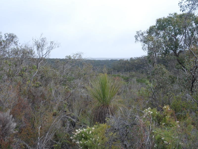 Lot 300 Palmdale Road, Napier WA 6330