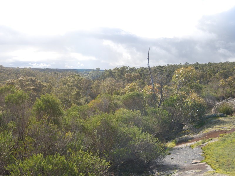 Lot 300 Palmdale Road, Napier WA 6330