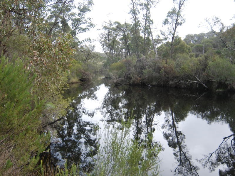 Lot 300 Palmdale Road, Napier WA 6330