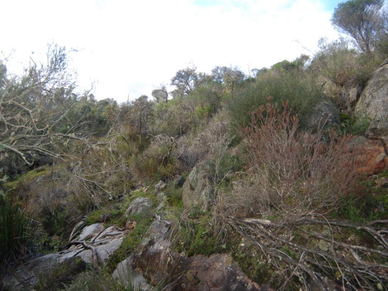 Lot 300 Palmdale Road, Napier WA 6330