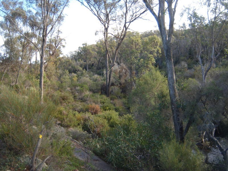 Lot 300 Palmdale Road, Napier WA 6330