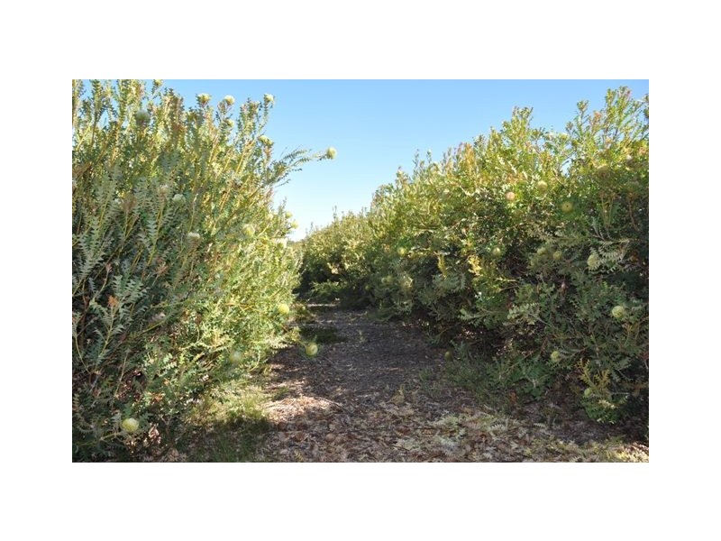 Lot 13 Redmond West Road, Redmond WA 6327