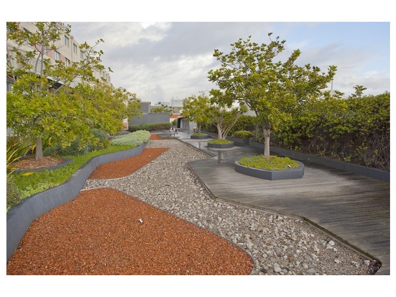 313/320 Harris Street, Pyrmont NSW 2009