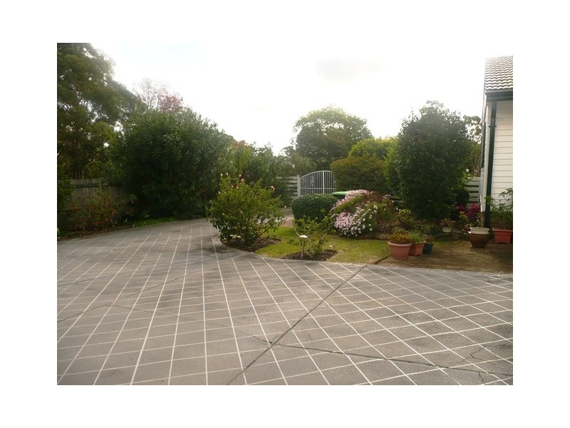 125 Blackbutts Road, Frenchs Forest NSW 2086