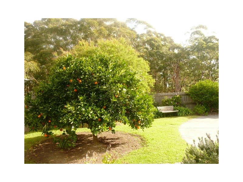 125 Blackbutts Road, Frenchs Forest NSW 2086