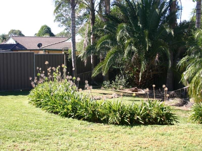 11 Roma Avenue, Wallacia NSW 2745