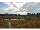 Mulgoa NSW 2745