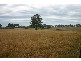 Mulgoa NSW 2745
