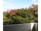 11/92 Shirley Road, Wollstonecraft NSW 2065