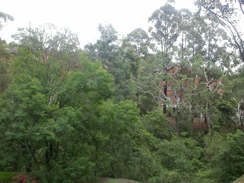 1/4 Leisure Close, North Ryde NSW 2113