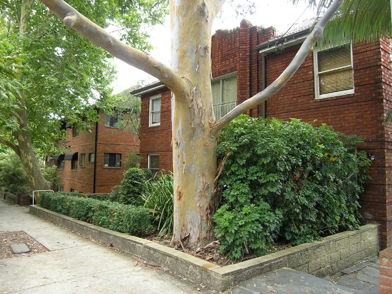 4/339a Alfred Street, Neutral Bay NSW 2089