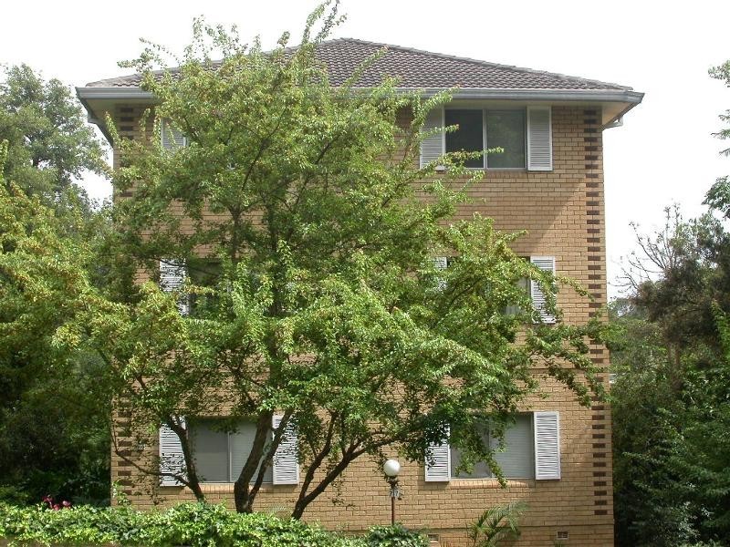 6/77 Helen Street, Lane Cove NSW 2066