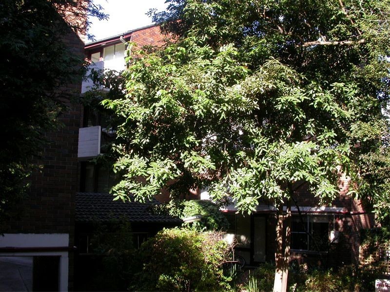 14/54 Epping Road, Lane Cove NSW 2066