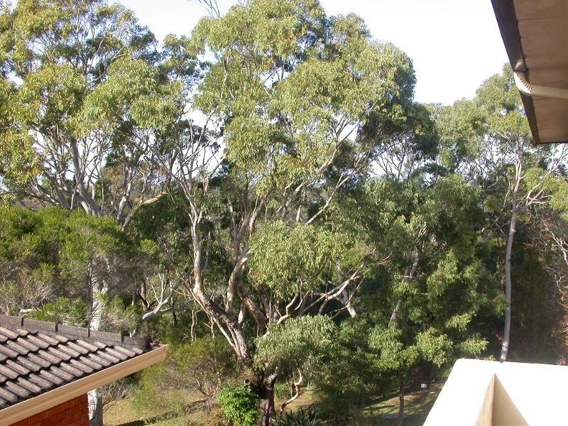 80/38 Cope Street, Lane Cove NSW 2066