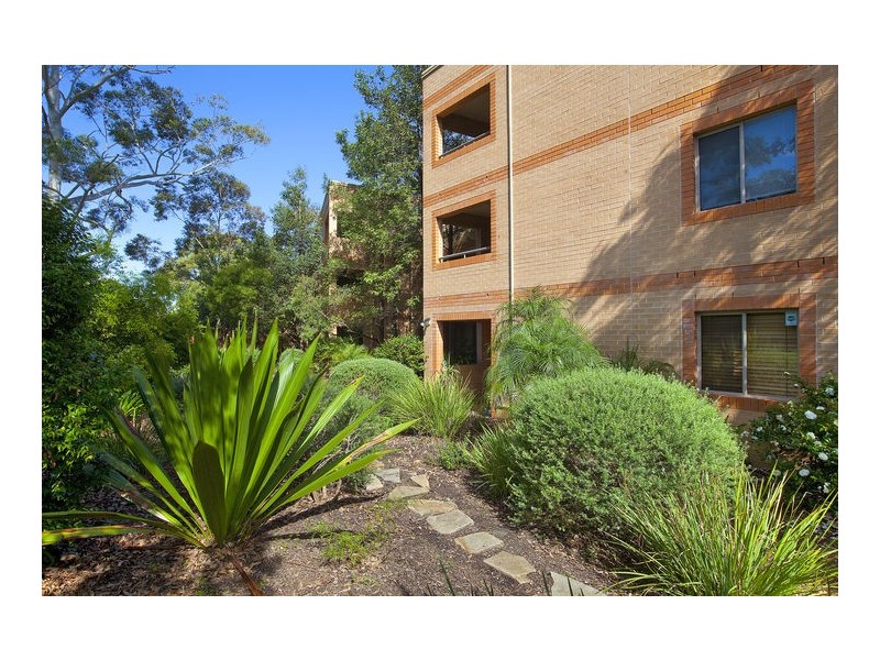 24/506 Pacific Highway, Artarmon NSW 2064