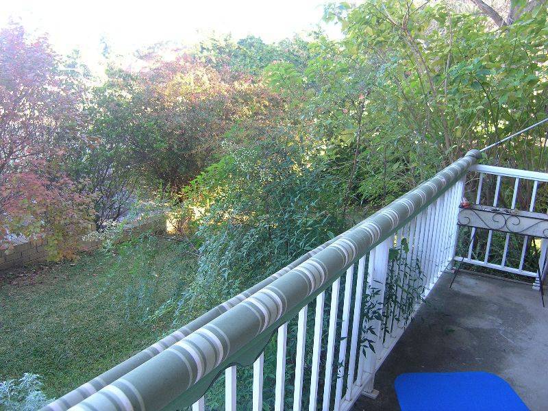 1/143  Burns Bay Road, Lane Cove NSW 2066